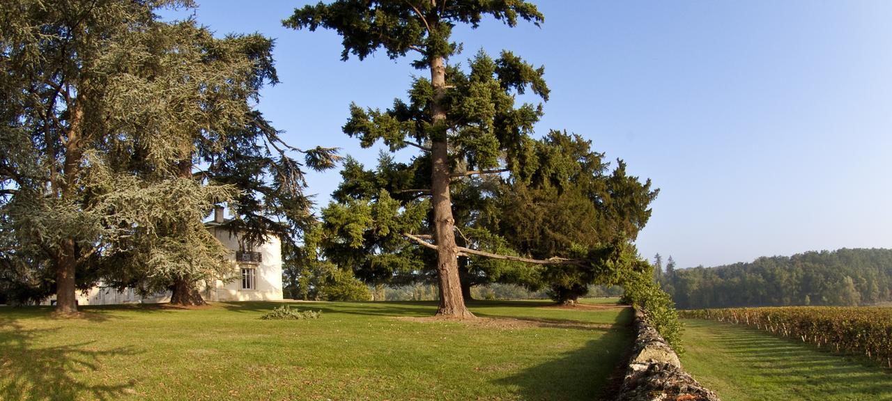Pey La Tour - Logis Hotels & Restaurant Salleboeuf Екстер'єр фото